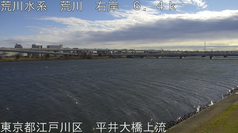 arahi2025122610_image