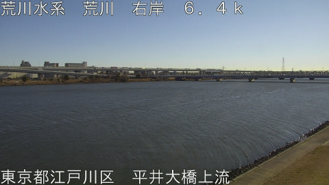 arahi2026010910_image