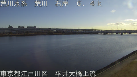 arahi2026011209_image