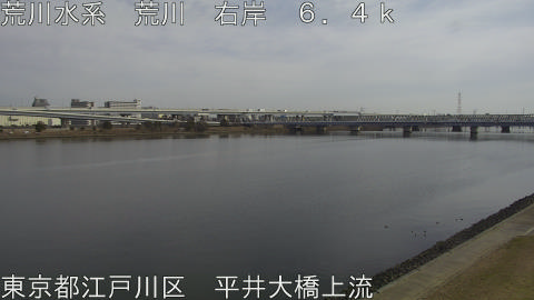 arahi2026011512_image