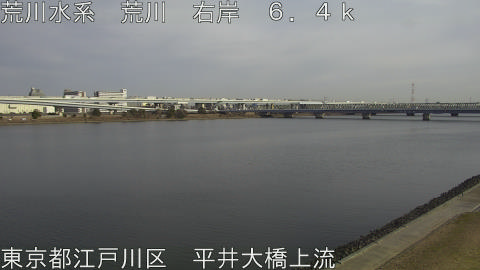 arahi2026011513_image