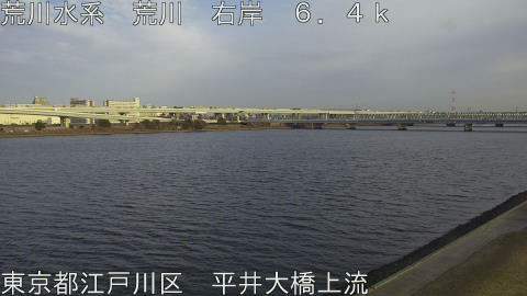 arahi2026011516_image