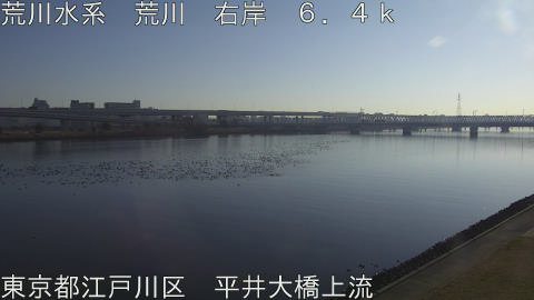 arahi2026011609_image