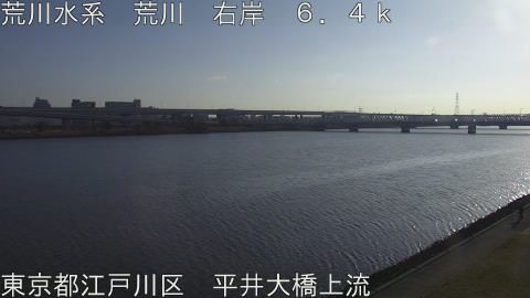 arahi2026011709_image