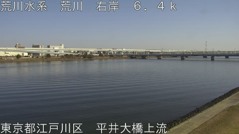 arahi2026011713_image