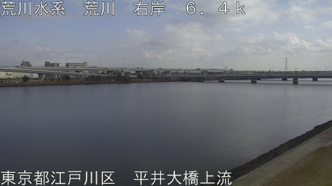 arahi2026011912_image