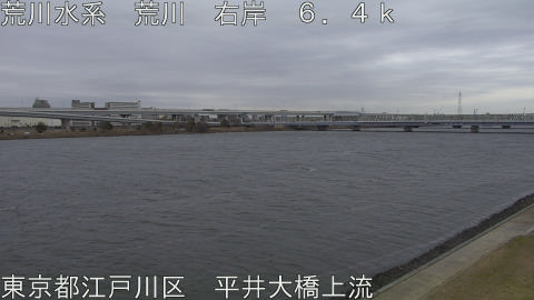 arahi2026012016_image