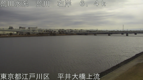 arahi2026012112_image