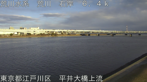 arahi2026012116_image