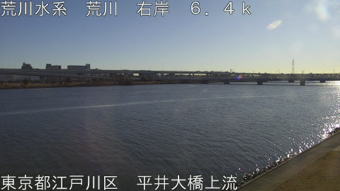 arahi2026012209_image