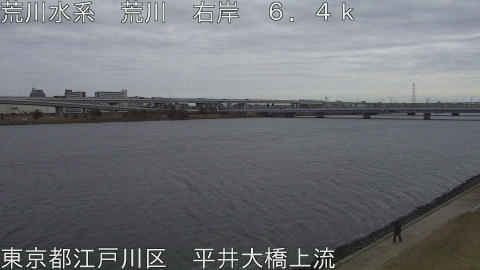 arahi2026012812_image