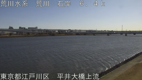 arahi2026013110_image