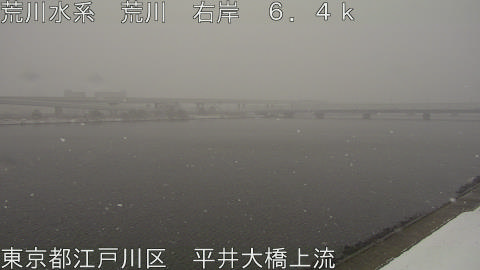 arahi2026020810_image