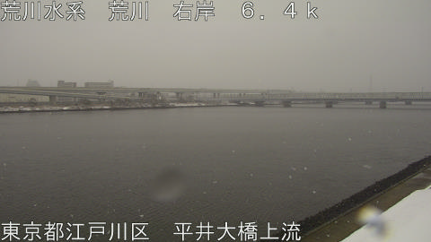 arahi2026020813_image