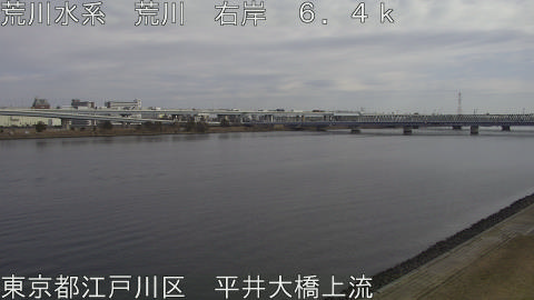 arahi2026021213_image