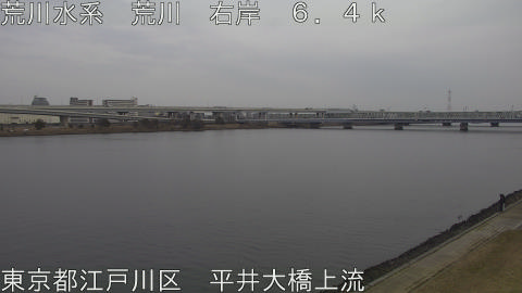 arahi2026021416_image