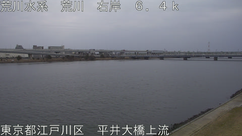 arahi2026021617_image