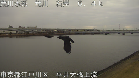 arahi2026021708_image