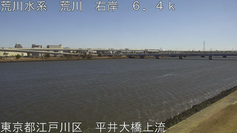 arahi2026021912_image