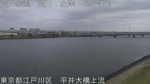 arahi2026022412_image