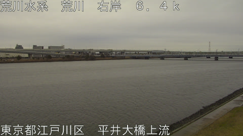 arahi2026022608_image