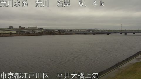 arahi2026022611_image