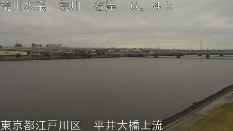 arahi2026022613_image