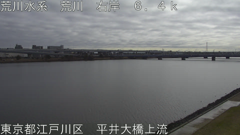 arahi2026022710_image