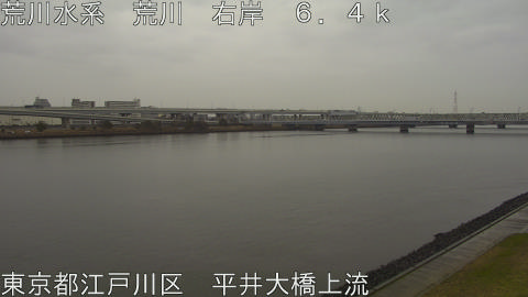 arahi2026030309_image