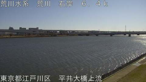 arahi2026030810_image