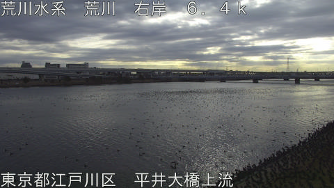 arahi2026030908_image