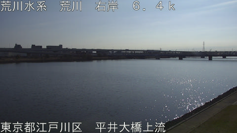 arahi2026031209_image