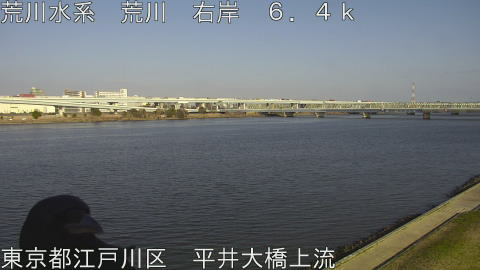 arahi2026031716_image