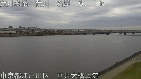 arahi2026031915_image