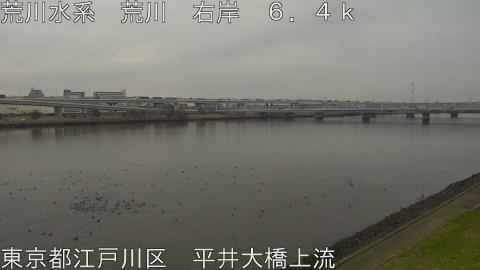 arahi2026032312_image