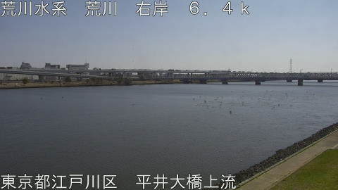 arahi2026032411_image