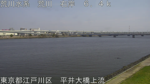 arahi2026033013_image