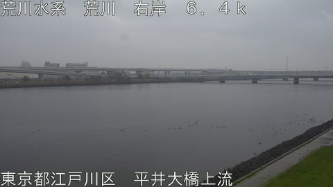 arahi2026040414_image