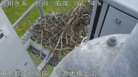 arahi2026043011_image