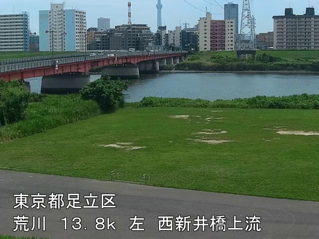 arani2025061612_image