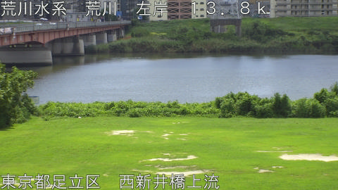 arani2025081712_image