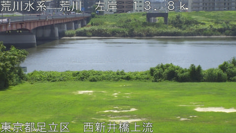 arani2025081912_image