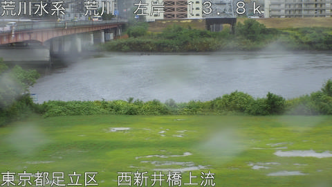 arani2025090512_image