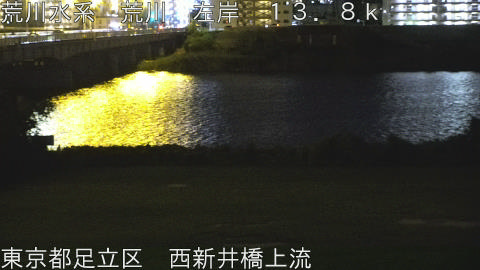 arani2025091321_image