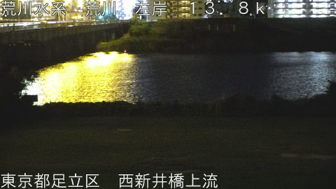 arani2025091323_image