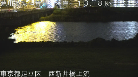 arani2025091423_image
