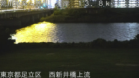 arani2025091822_image