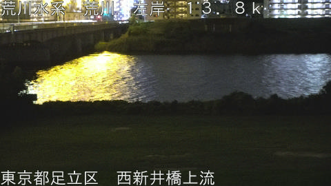 arani2025091823_image
