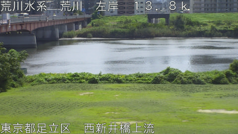 arani2025100212_image