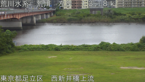 arani2025100712_image